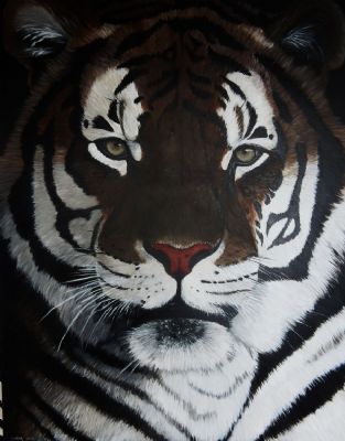 tiger